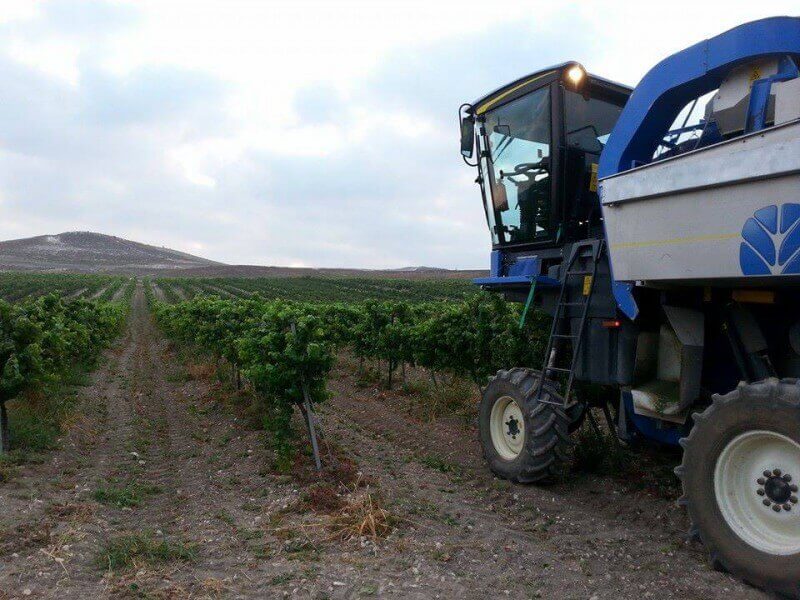 כרמים ויקבים