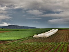 חקלאות על כל גווניה
